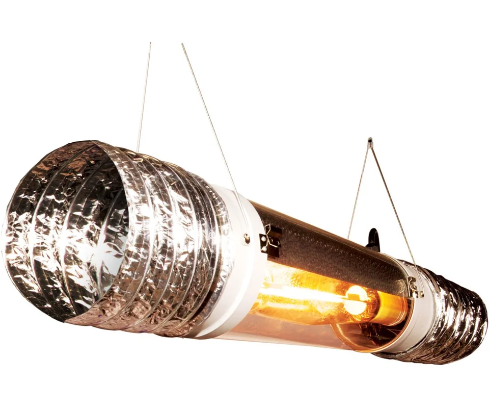 2026_06_06_3109561