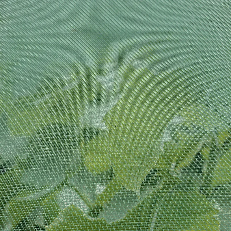 2026_06_06_3113500