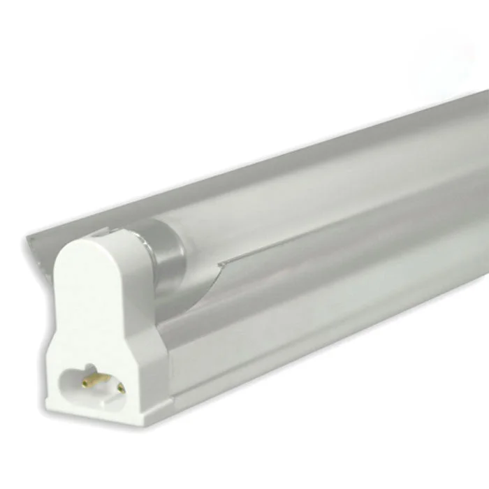2026_06_06_3113911