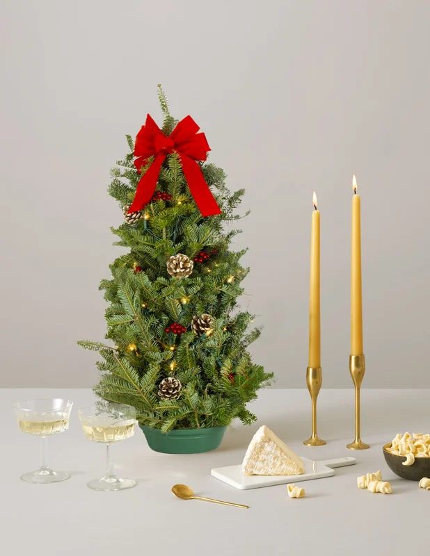 2026_06_06_3116304