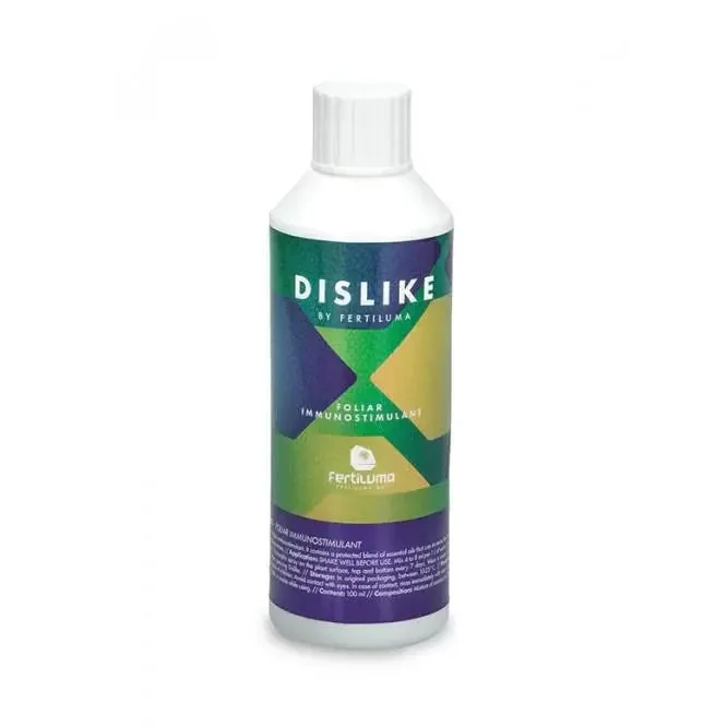 2026_06_06_3118405