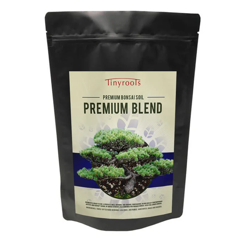 2026_06_06_3121995