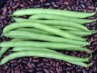 2026_06_06_3128584