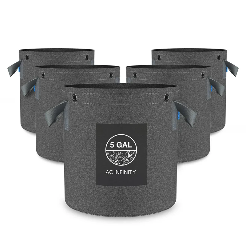 2026_06_06_3136238