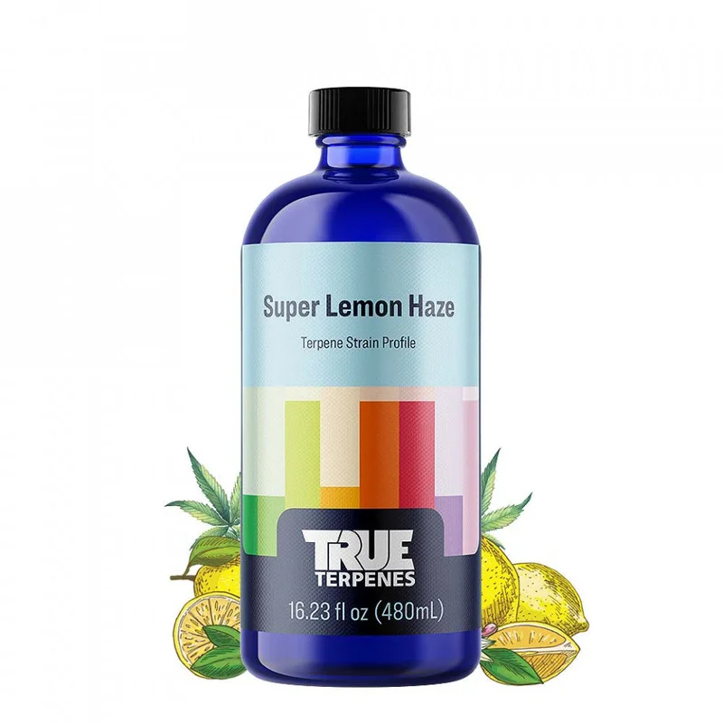 2026_06_06_3142887