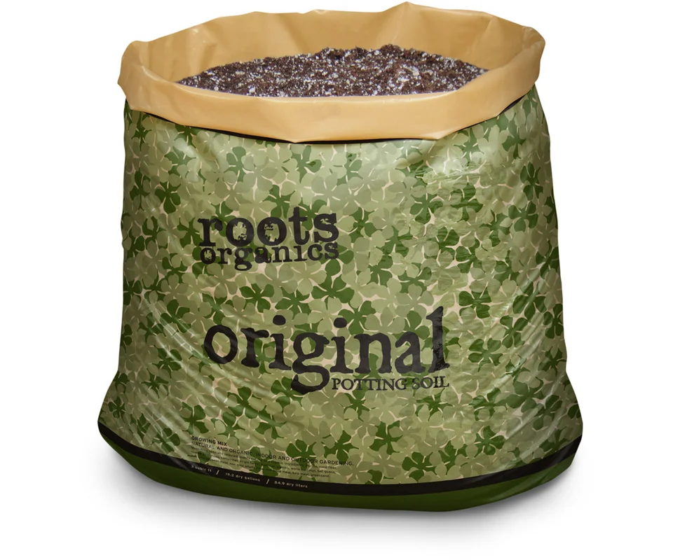 2026_06_06_3152256