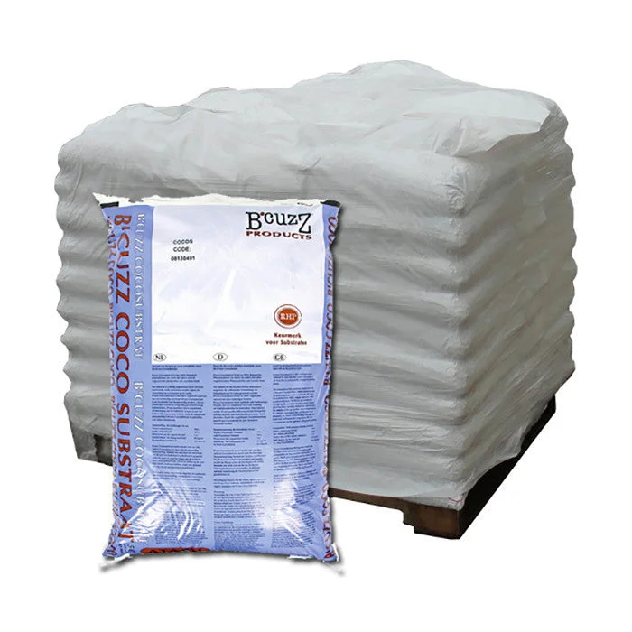 2026_06_06_3168954