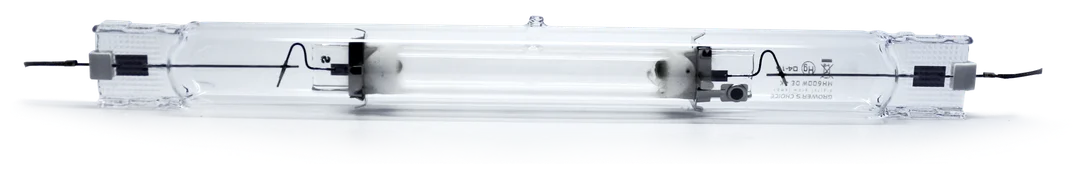 2026_06_06_3171730