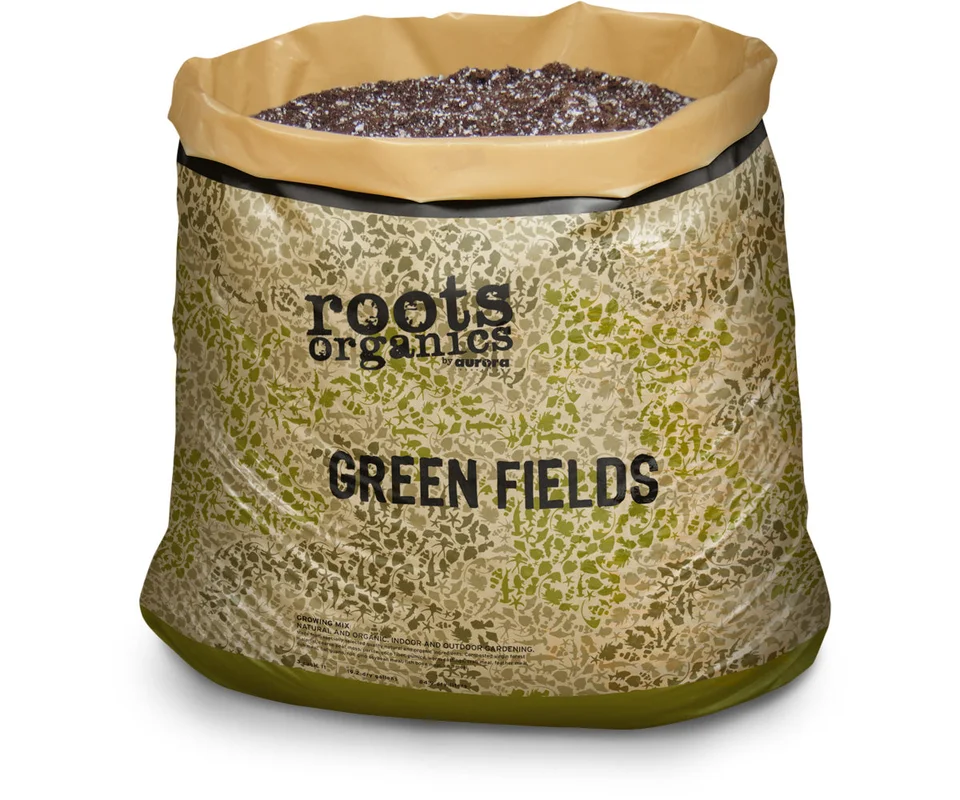 2026_06_06_3173915