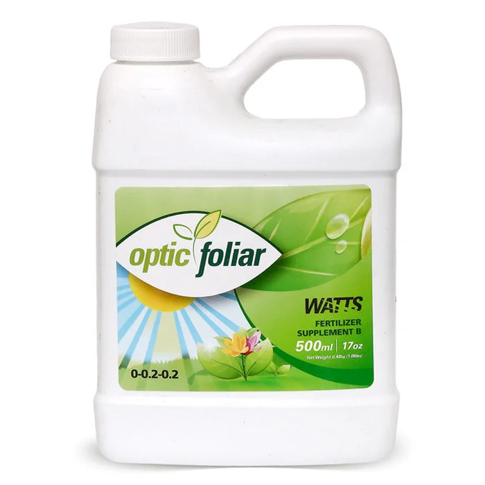 2026_06_06_3175382