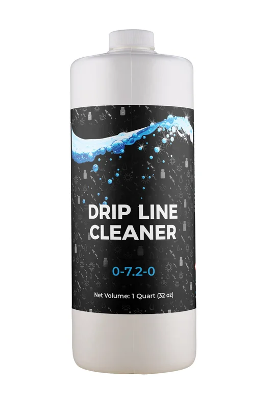 2026_06_06_3179049