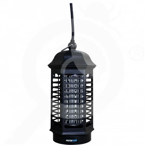 2026_06_07_3185420