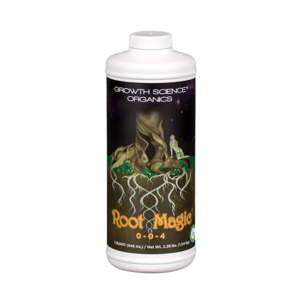 2026_06_07_3198729