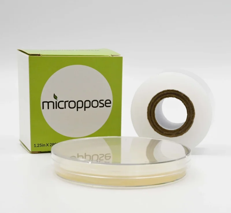 2026_06_07_3207648