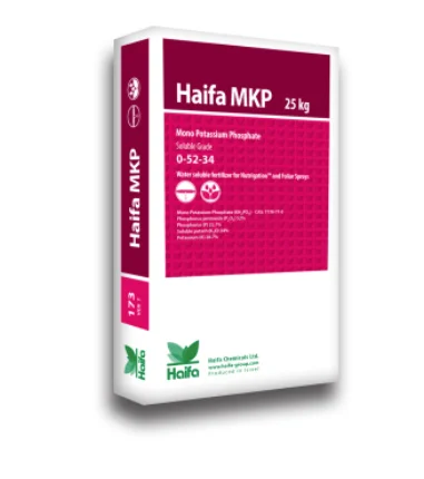 2026_06_07_3217347