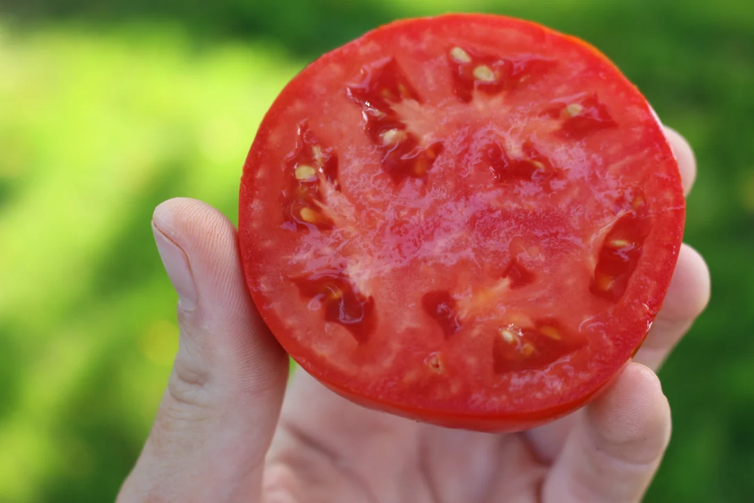 2026_06_09_3455783