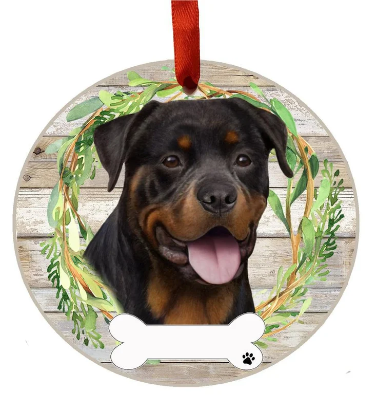 2026_06_10_3511656
