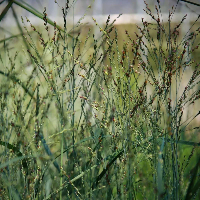 2026_06_10_3620803