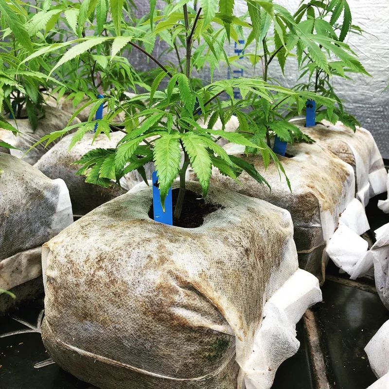 floridagardensupplies202606061203053098974