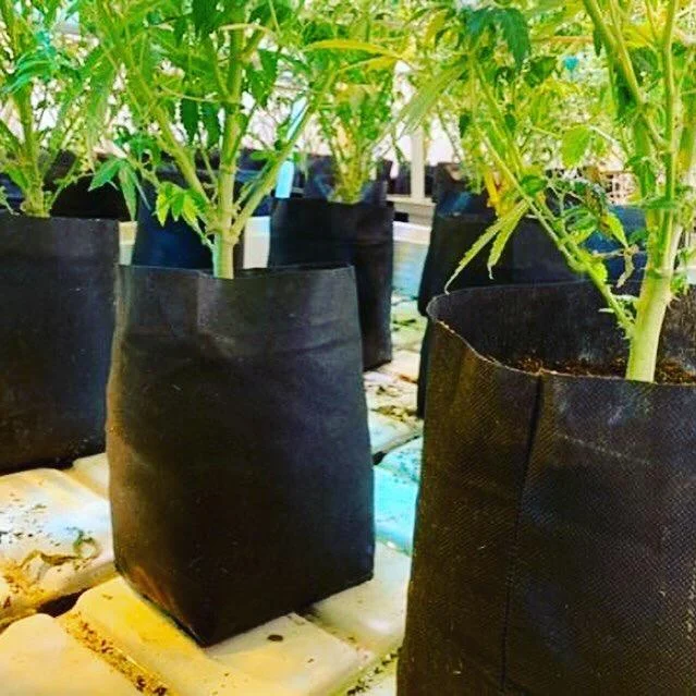 floridagardensupplies202606061304013109142