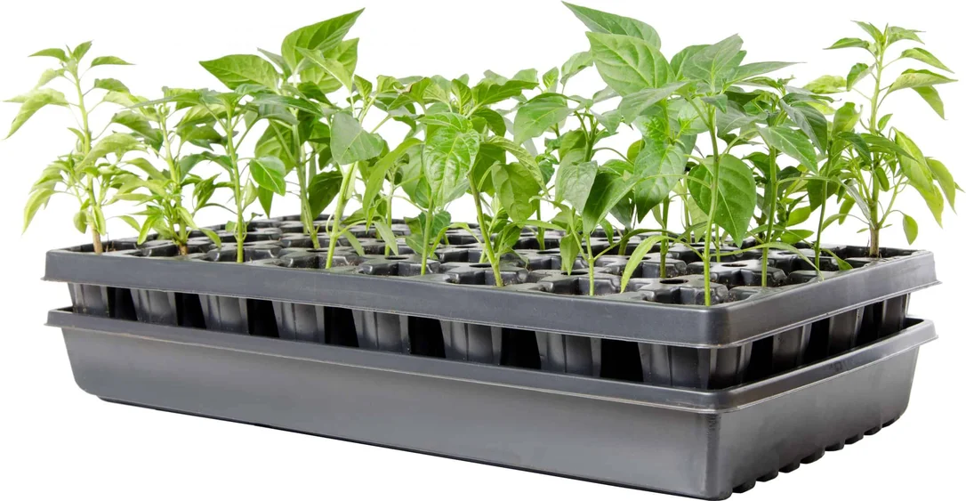 floridagardensupplies202606061444403124593