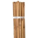 floridagardensupplies202606061657273143586
